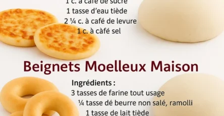 Pâte parfaite la base essentielle pour réussir pizzas, beignets et petits pains maison