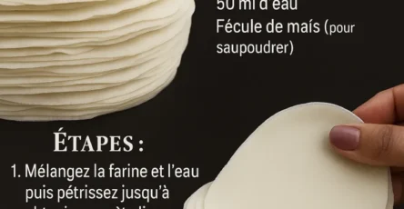 Feuilles à Raviolis Chinois